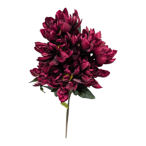 Burgundy Dahlia Bush