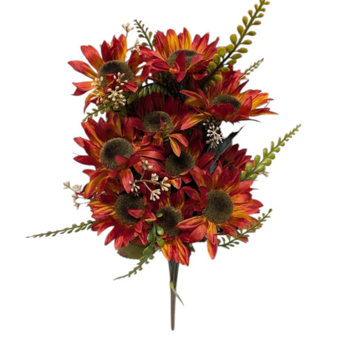 Rust Orange Wild Sunflower Bush