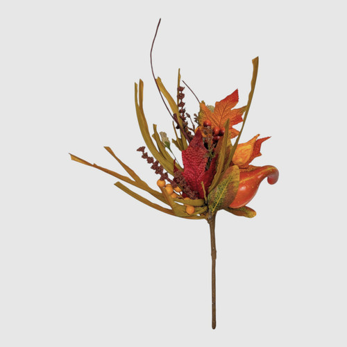 Pumpkin Gourd Berry Pick