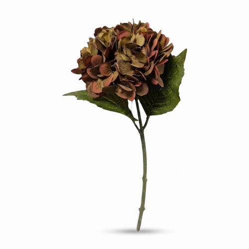 18" Olive Brown Hydrangea Stem