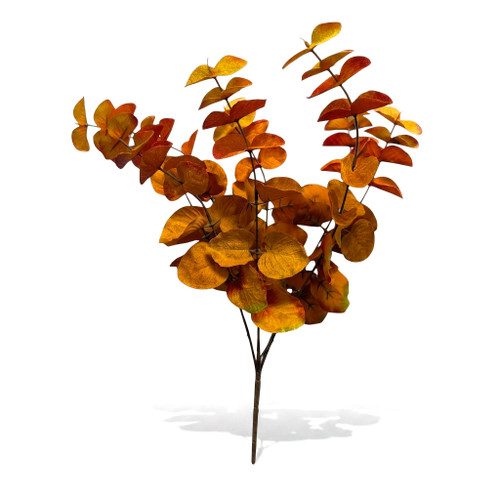Velvety Burnt Orange Eucalyptus Bush