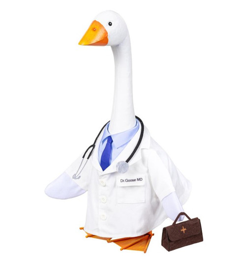 Giddy the Goose Dr. Goose MD Outfit