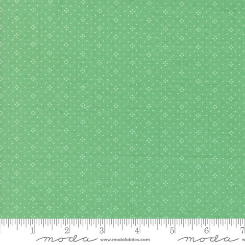 Eyelet Azure Green Blender Cotton Fabric