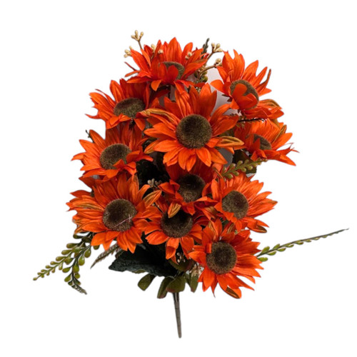 Burnt Orange Wild Sunflower Bush