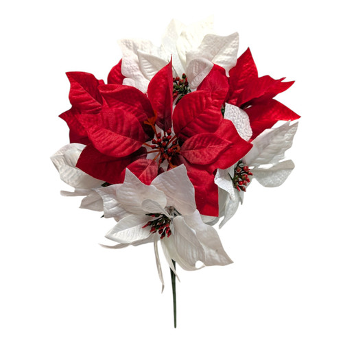 Red & White Poinsettia Bush