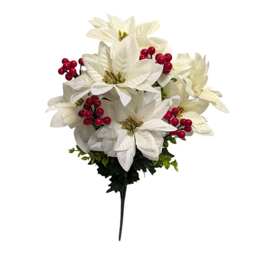 Cream Poinsettia Bush with Red Berries