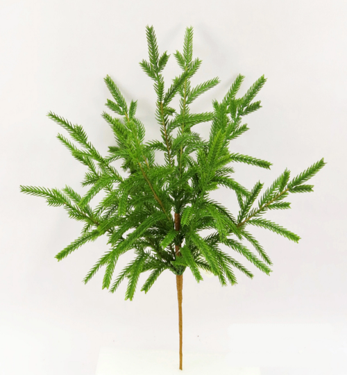 Norfolk Pine Christmas Spray 20"