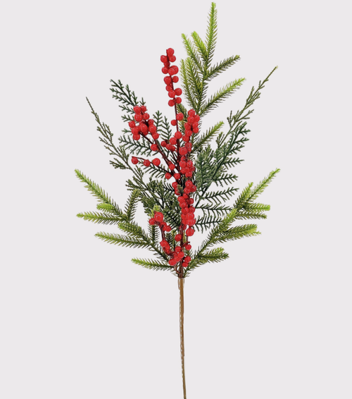 23" Norfolk Pine & Cedar Spray with Red Berries
