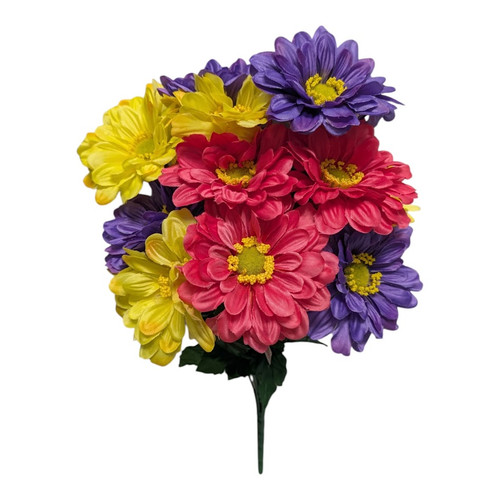Pink Yellow Purple Gerber Daisy Bush