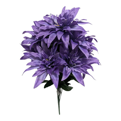 Purple Wild Dahlia Bush
