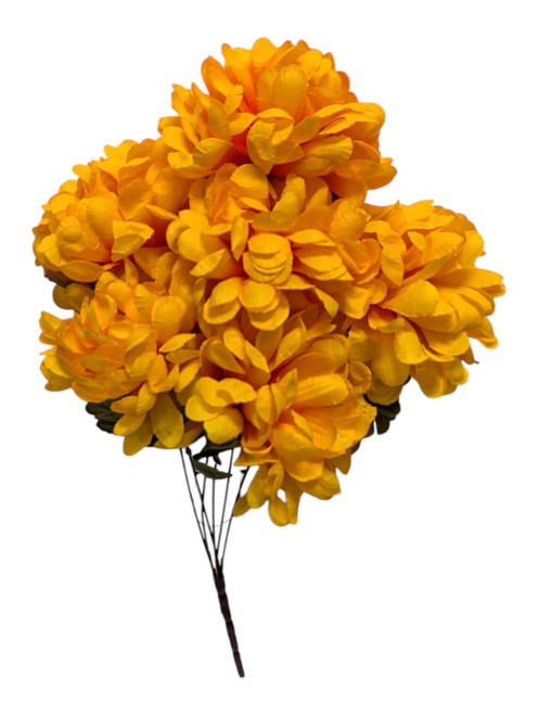 Golden Yellow Ball Mums 