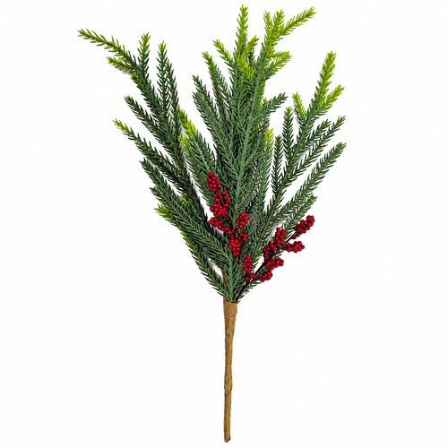 cedar berry pick