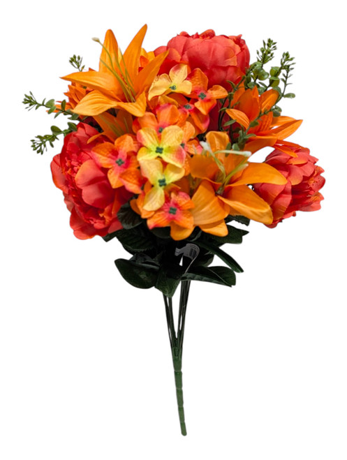 Sunburst Orange Peony Lily Hydrangea Bush