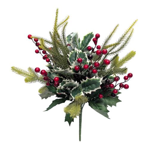 Mixed Evergreen & Variegated Holly Bush with Red Berries