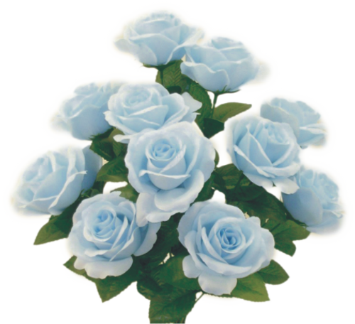 Colorfast Open Lillian Rose Bush - Baby Blue