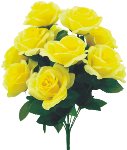 Colorfast Open Lillian Rose Bush - Baby Yellow