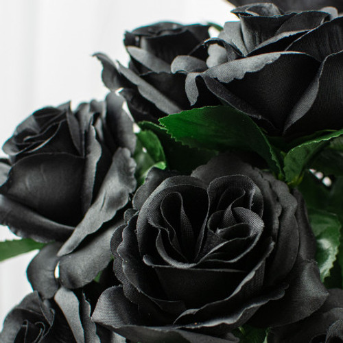 Colorfast Open Lillian Rose Bush - Black With A Shimmer of Green Colorfast Open Lillian Rose Bush - Black With A Shimmer of Green