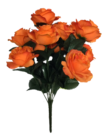 Colorfast Open Lillian Rose Bush - Orange