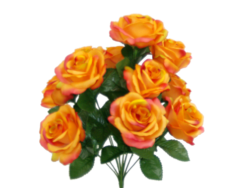 Colorfast Open Lillian Rose Bush - Shades of Orange