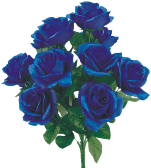 Colorfast Open Lillian Rose Bush - Royal Blue
