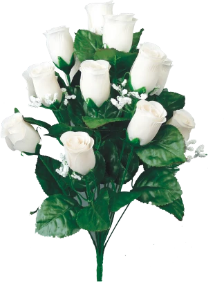 Colorfast Lillian Rose Bud Bush - Blush