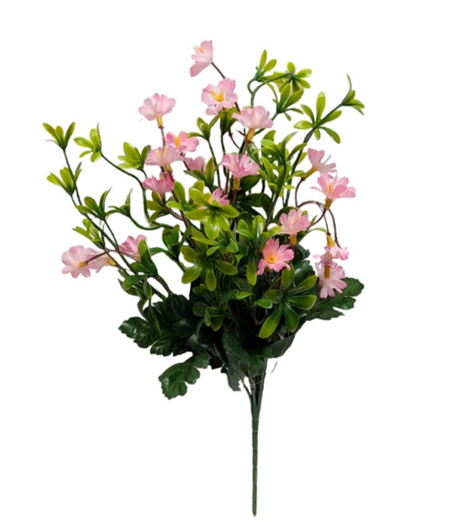 Baby Pink Lewisia Floral Filler Bush Baby Pink Lewisia Floral Filler Bush