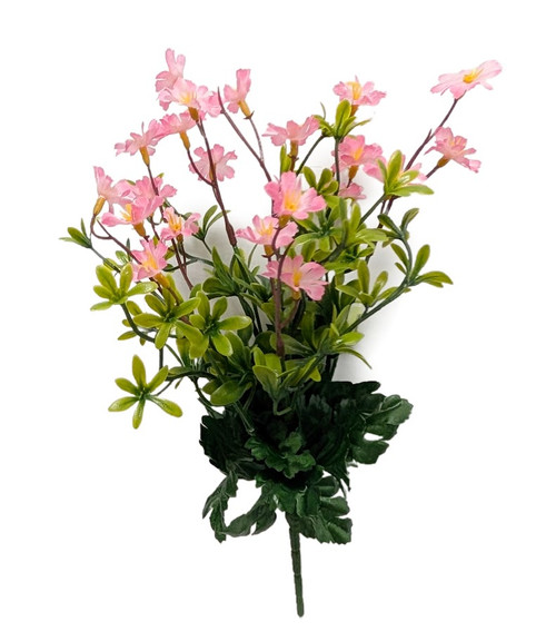 Baby Pink Lewisia Floral Filler Bush Baby Pink Lewisia Floral Filler Bush