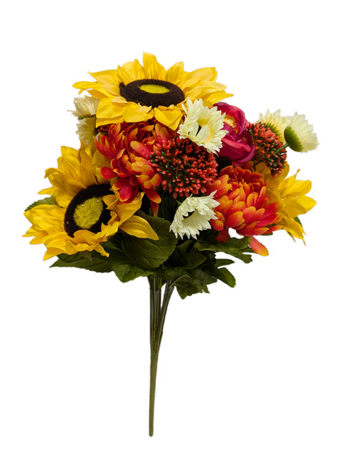 Chrysanthemum Peony Sunflower Bush Chrysanthemum Peony Sunflower Bush
