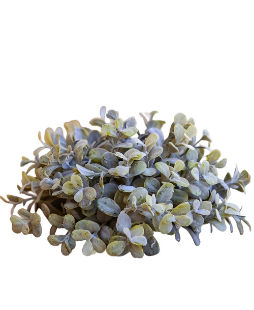 Eucalyptus Topiary Half Ball - Pale Green Eucalyptus Topiary Half Ball - Pale Green