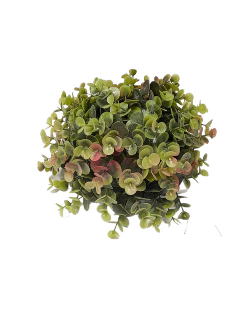 Eucalyptus Topiary Half Ball - Red Green Eucalyptus Topiary Half Ball - Red Green