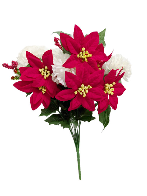 Poinsettia Carnation Bush Poinsettia Carnation Bush