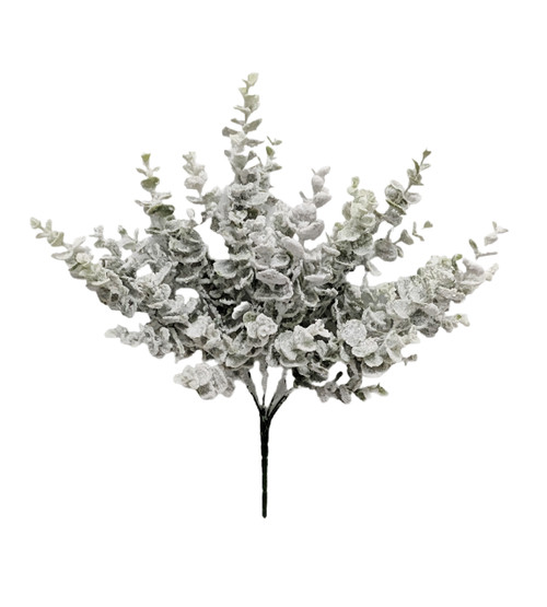 Snowy Greenery Bush - Eucalyptus Snowy Greenery Bush - Eucalyptus