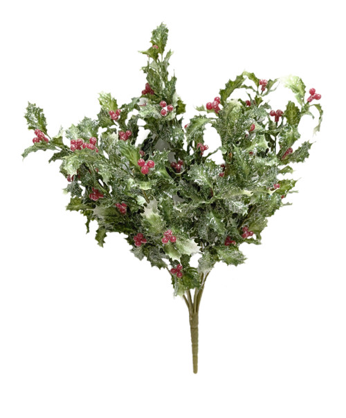 Iced Variegated Holly Bush with Berries Iced Variegated Holly Bush with Berries