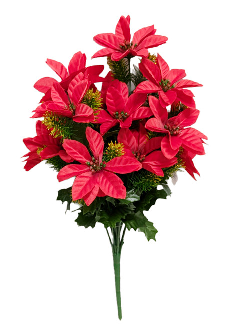 Red Poinsettia Bush with Gold Tipped Evergreen Sprigs Red Poinsettia Bush with Gold Tipped Evergreen Sprigs