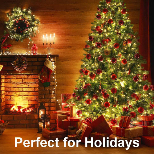 Warm White  LED Christmas Lights With Controller Warm White  LED Christmas Lights With Controller