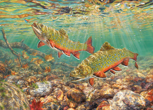 Brook Trout | 1000 Piece