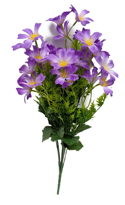 Purple Blossom Bush