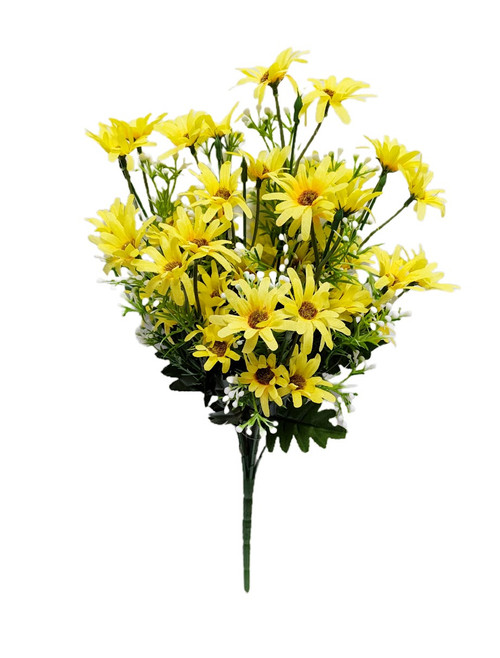 Yellow Daisy Bush