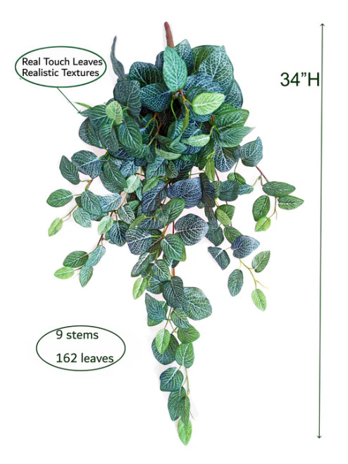 Fittonia Leaf Real Touch Hanging Bush 34"
