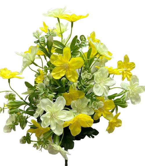 Shades of Yellow Mixed Daisy Bush