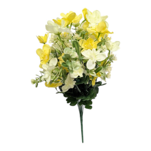 Shades of Yellow Mixed Daisy Bush