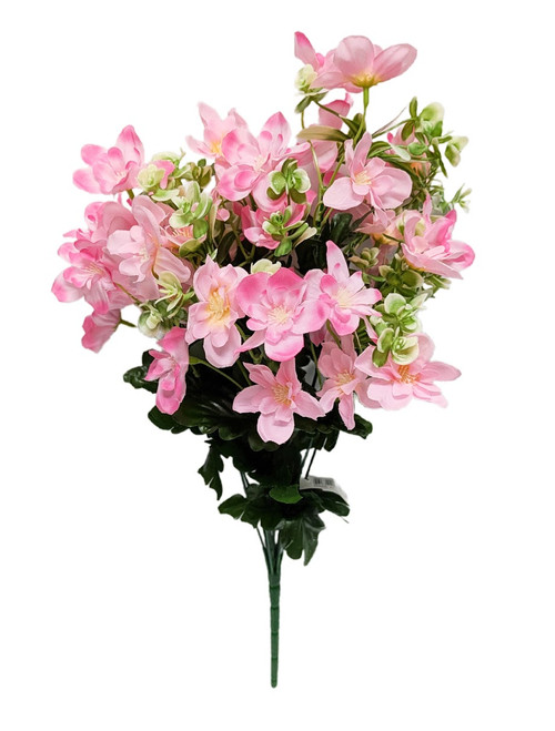 Shades of Beauty Pink Mixed Daisy Bush