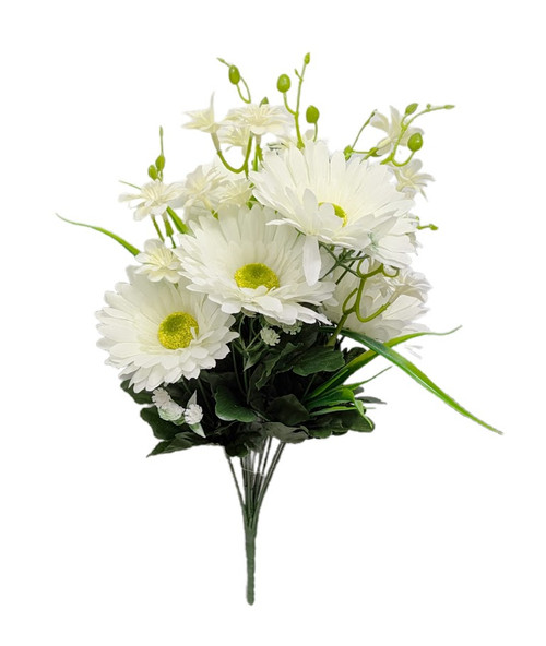 Cream Daisies Mixed Bush