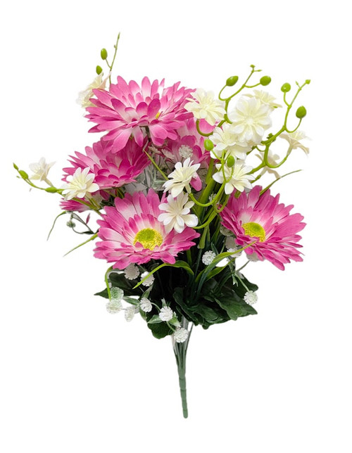 Pink Daisies Mixed Bush