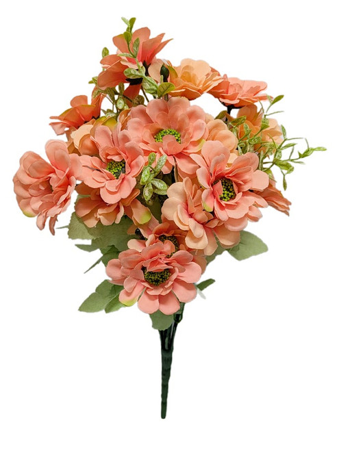Peach Zinnia Bush