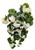 28" Cream Geranium Hanging Bush