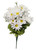 White Daisy Bush