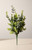 17" Eucalyptus / Button Bush