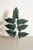 Silk Leather Leaf Fern Stems 18" (set of 12)