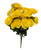 Yellow Full Blooms Open Rose Bush with Baby's Breath